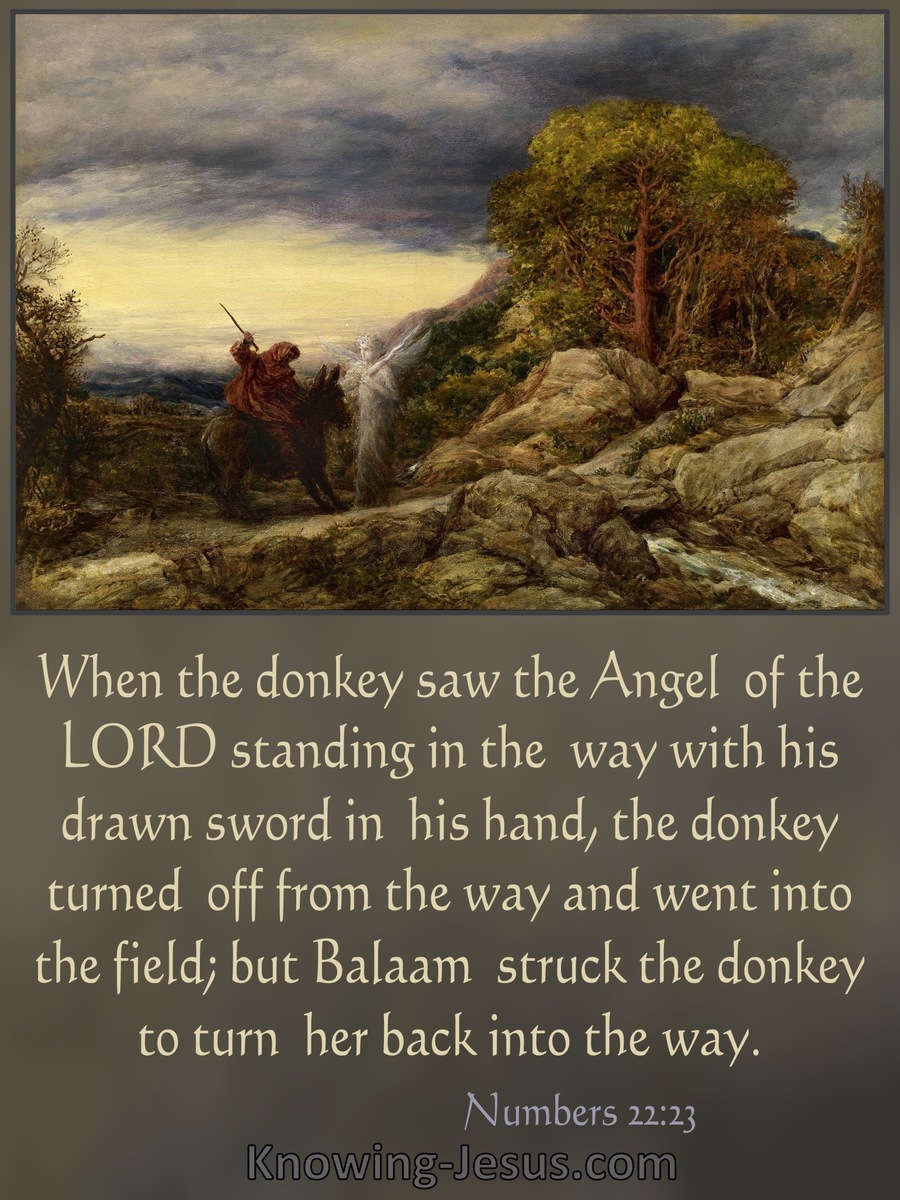 Numbers 22:23 When The Donkey Saw The Angel Of the Lord He Turnee Off From The Way (brown)